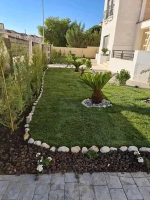 ‏أشجار - نباتات‏0