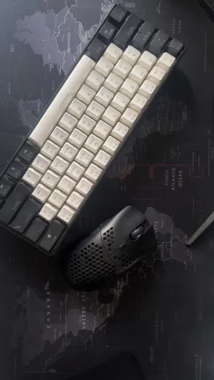Keyboard and mouse