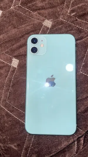 ايفون 11 عادي