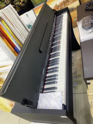 الات موسيقية الات نقرية بيانو اورغ ميلوديكا زيليفون تعليمية احترافية 88مفتاح و 61 مغتاح