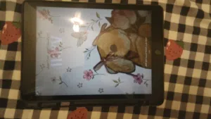 Apple iPad 9 64 GB in Qadisiyah