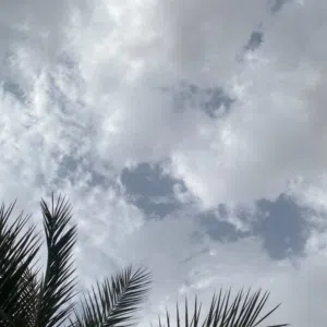 نواف النعيمي