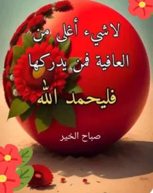محمد شكري حسن أبو يوسف 