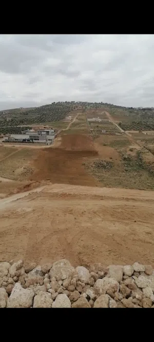 Farm Land for Sale in Zarqa Sarout