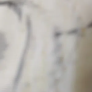 بشار لطفي الجابري 