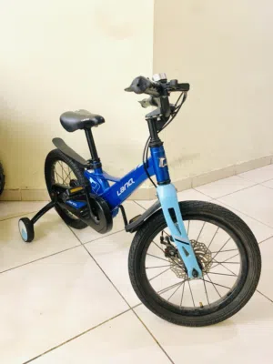 Lanq Kids Bicycle with Training Wheels – Excellent Condition