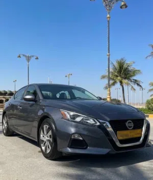 Used Nissan Altima in Dhofar