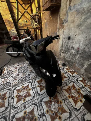 ماكس ثعلب للبيع تفصيخ او كوم حديد