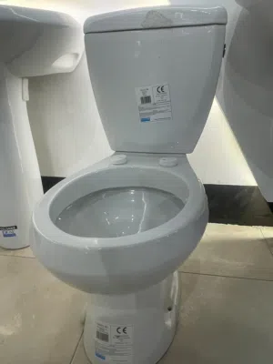 مرحاض سفير تونسي