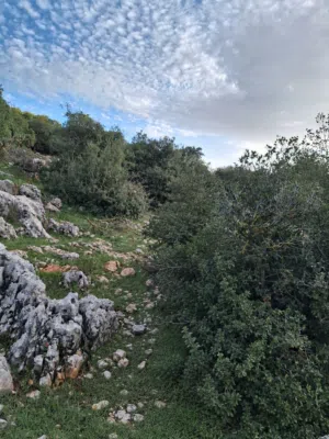 Mixed Use Land for Sale in Ajloun Alqala'a