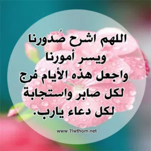 ستديو للايجار عائلات فقط في الفروانية  قطعه  4 موقع ممتاز بقرب خدمات ت
