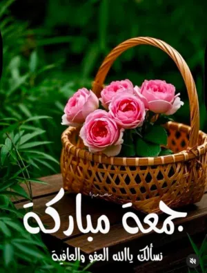 Almassry 
