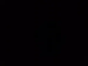 ياسر 