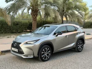 Lexus NX20t Fsport full option 106km only model 2017 regular agency service