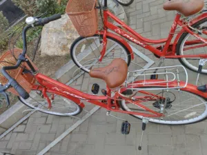 bicycle دراجه هوائيه