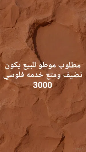 مطلوب موطو