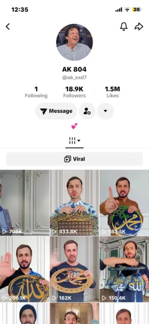 TikTok monitized acc
