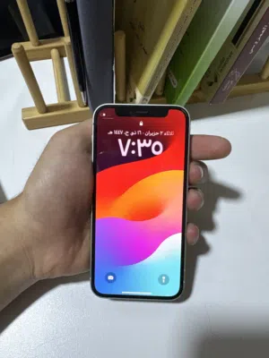 iPhone 12 Mini