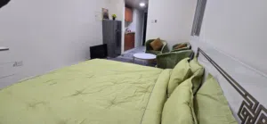 600 ft² Studio Apartments for Rent in Ajman Al Naemiyah