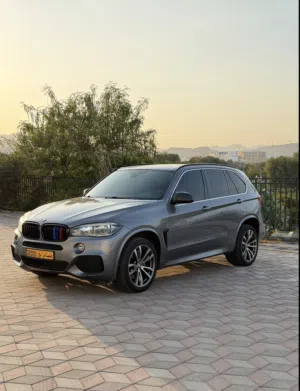 Bmw x5 M package