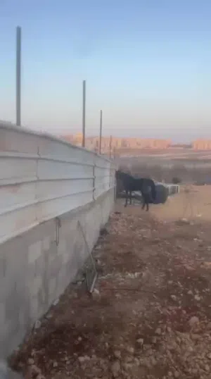 Farm Land for Rent in Ramallah and Al-Bireh Um AlSharayit