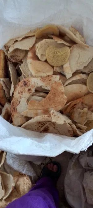 خبز ناشف للبيع