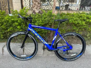 phoenix kader 19