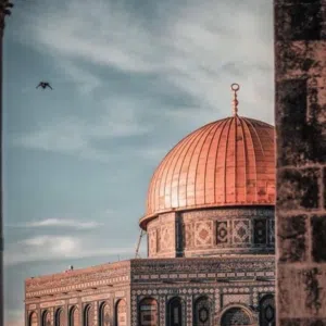 mazen abuabdallah