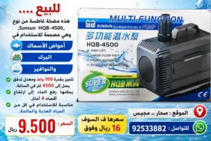 مضخة ماء منزلية