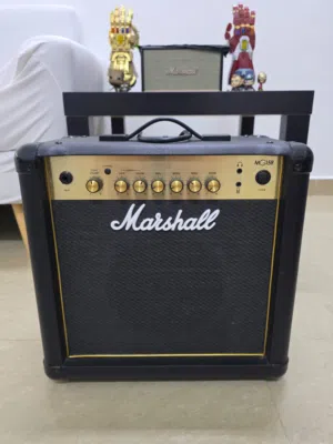 SX Electric Guitar & Marshall MG15R Amplifier