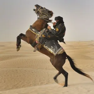 ابن الجنوب 