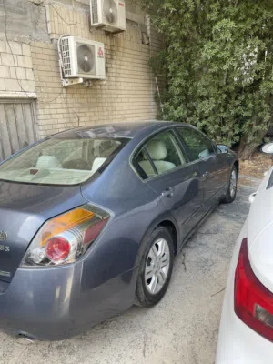 التيما 2011 للبيع
