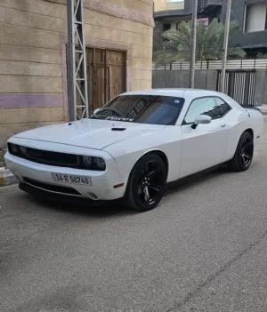 Used Dodge Challenger in Dhi Qar
