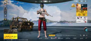 حساب ببجي موبايل