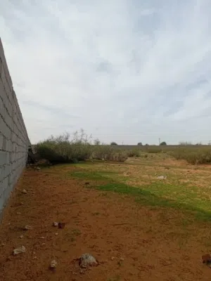 Farm Land for Sale in Tripoli Tajura
