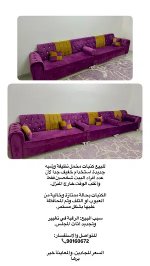 كنبات صالة معيشة