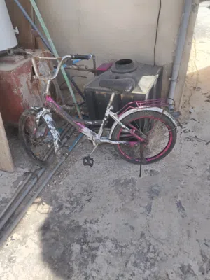 بسكليت وسط