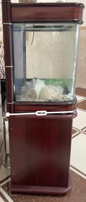 اموره طيبه