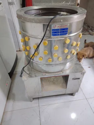 هلاسة دجاج