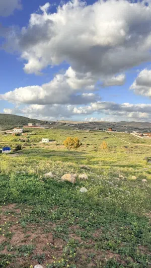 Farm Land for Sale in Jerash Unaybah
