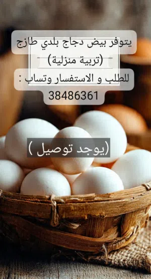 بيض بلدي طازج العدد حسب طلبك مع التوصيل