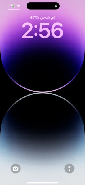 شقه. للإيجار حجم متوسط