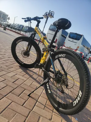 BMX Series mountain bike