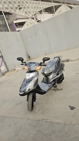 هوندا ‏أخرى ‏2008 ‏1- 250 سي سي