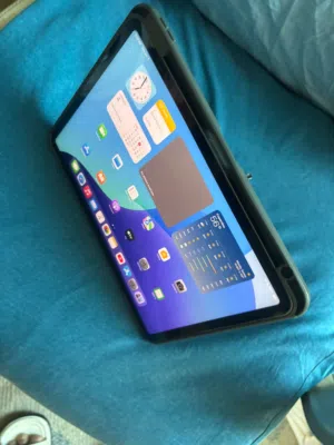iPad Pro 11 Apple M1 Used