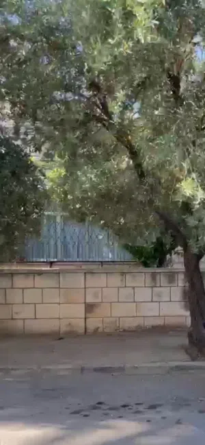 500 m2 More than 6 bedrooms Townhouse for Sale in Amman Al Kamaliya