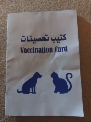 دكر لونق هير بالكتيب متاعه واخد كامل التطعيمات عمره 4 شهور موصفات الله ابارك المكان تاجوراء