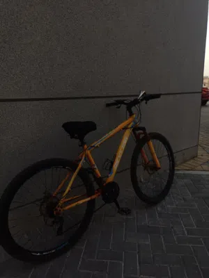 سيكل تباديل مقاس كبير