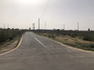 ارض في النشيع