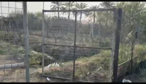 Farm Land for Sale in Saladin Balad